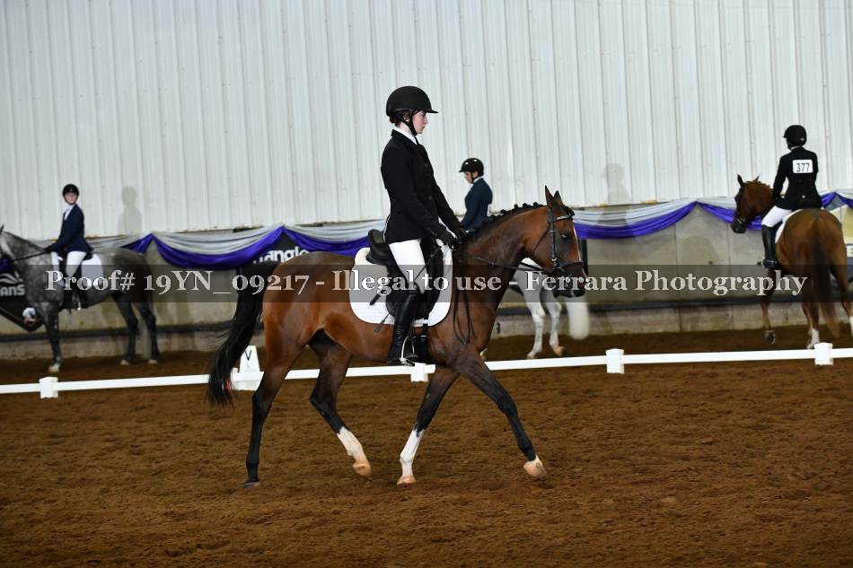 Proof 19YN_09217