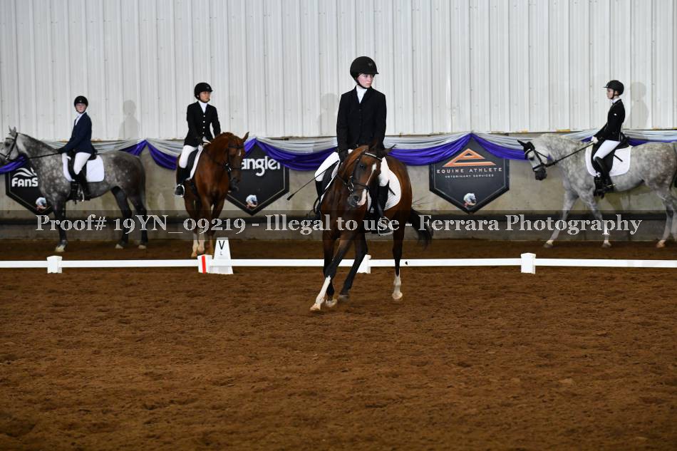 Proof 19YN_09219