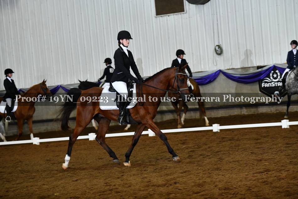 Proof 19YN_09223