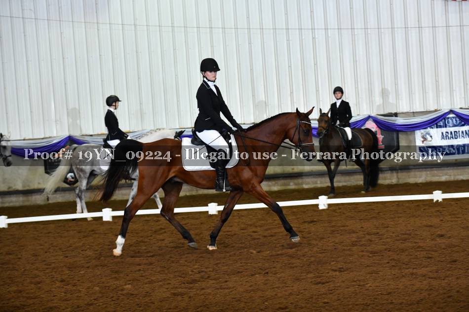 Proof 19YN_09224