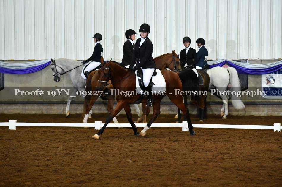 Proof 19YN_09227