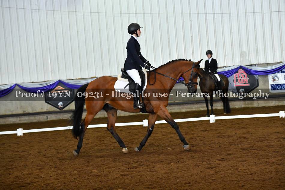 Proof 19YN_09231