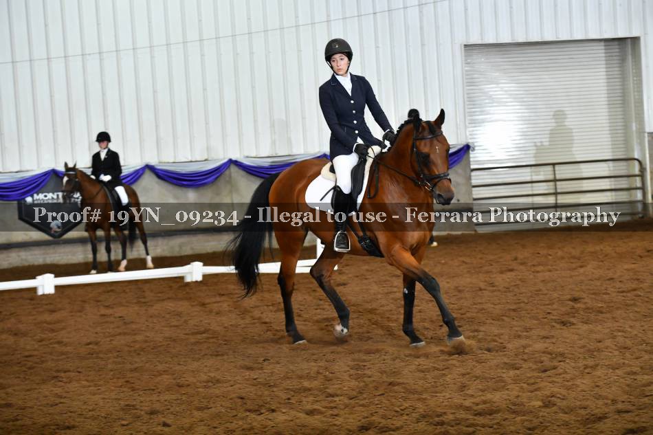 Proof 19YN_09234