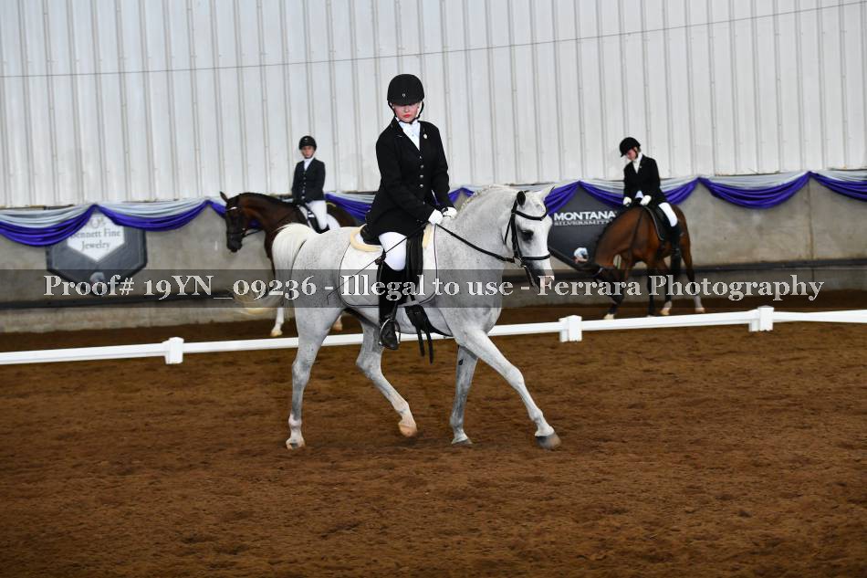 Proof 19YN_09236