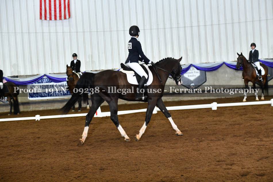 Proof 19YN_09238