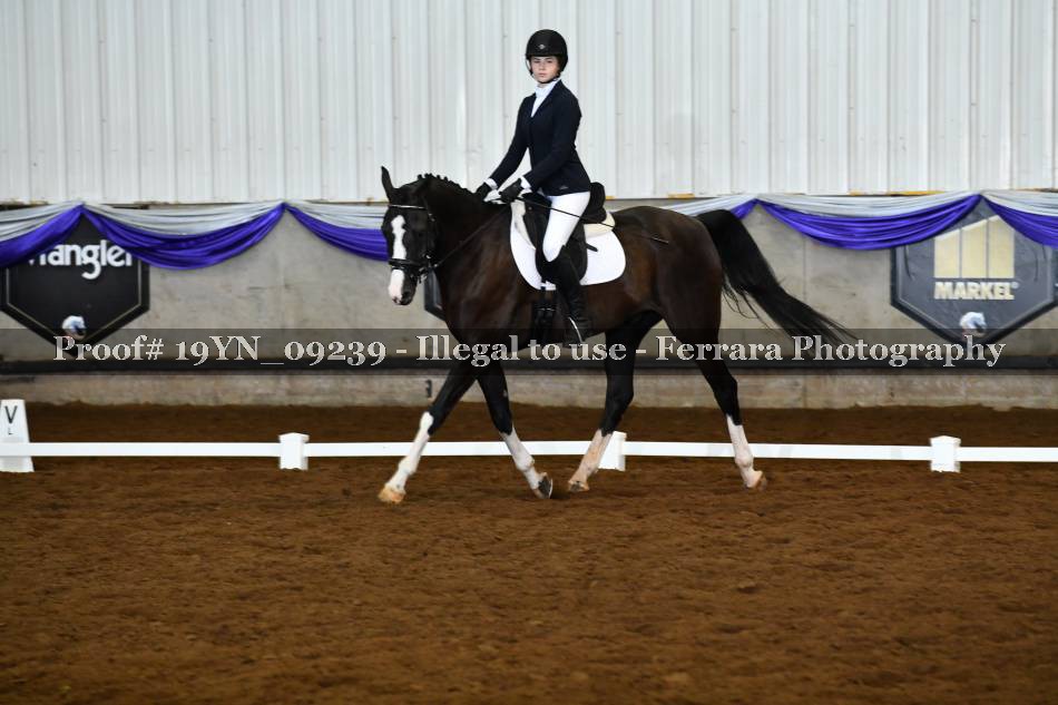 Proof 19YN_09239