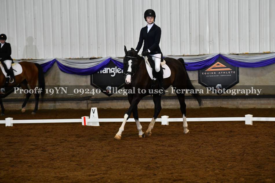 Proof 19YN_09240