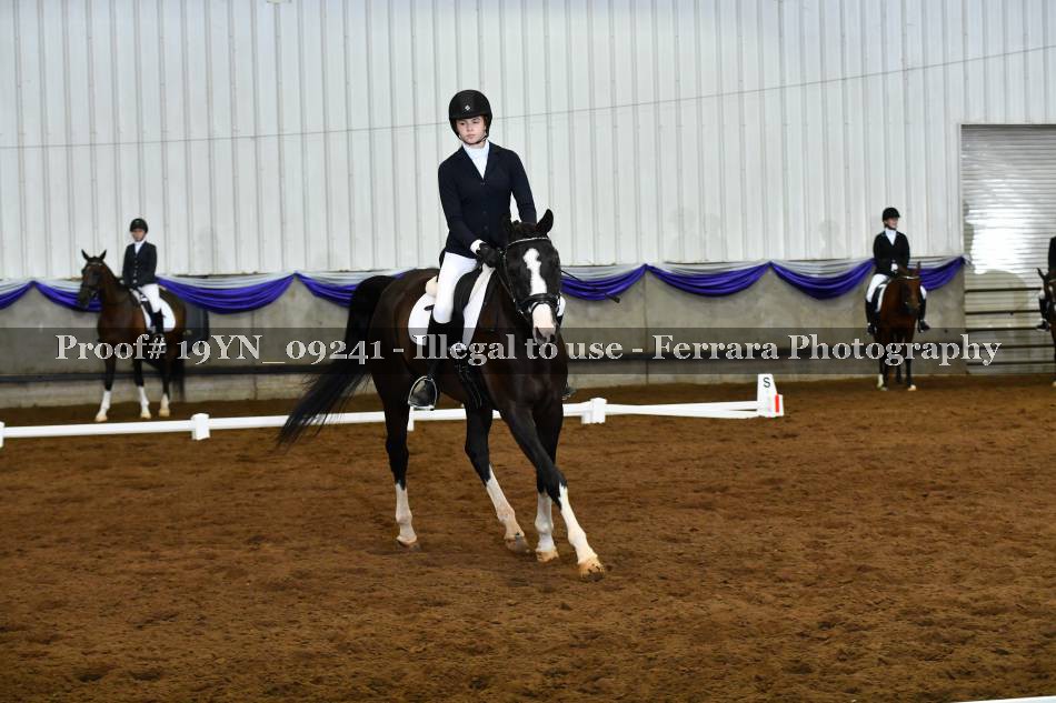 Proof 19YN_09241