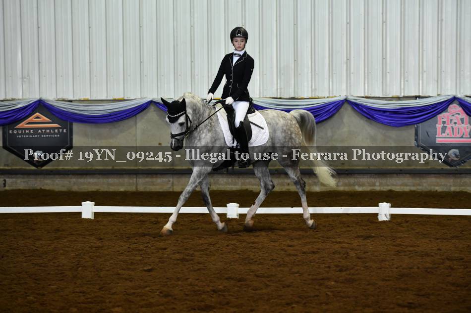 Proof 19YN_09245