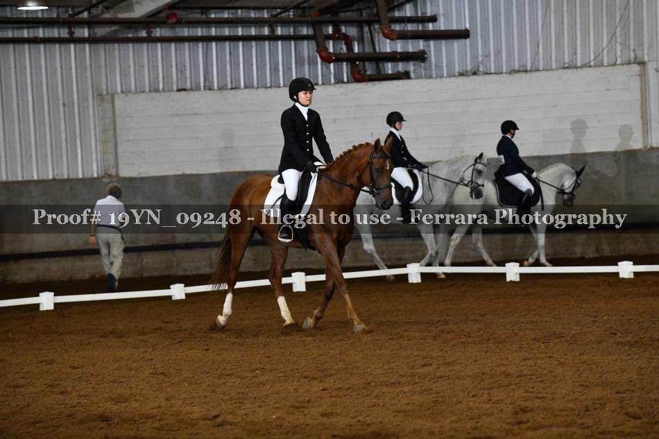 Proof 19YN_09248