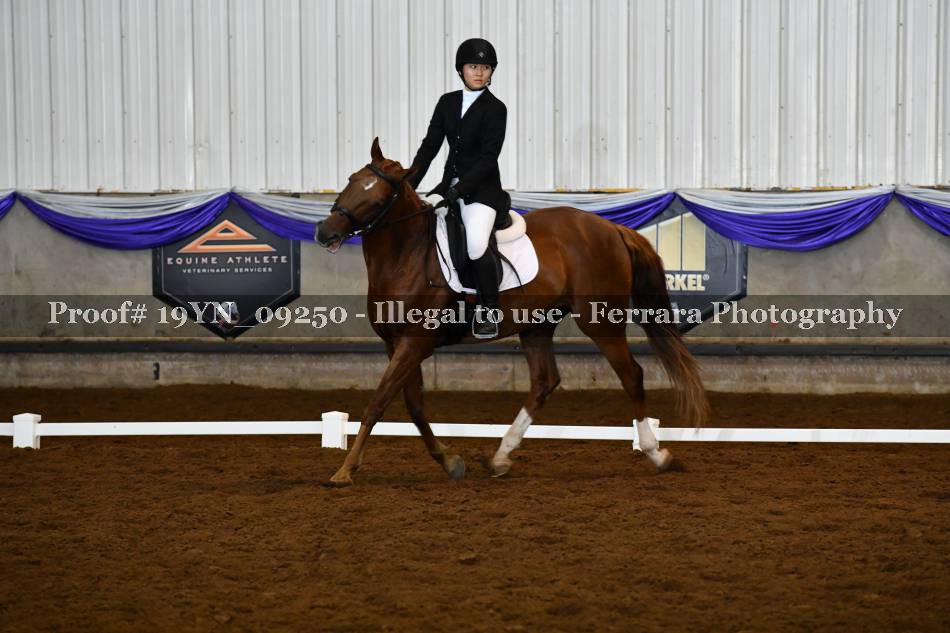Proof 19YN_09250