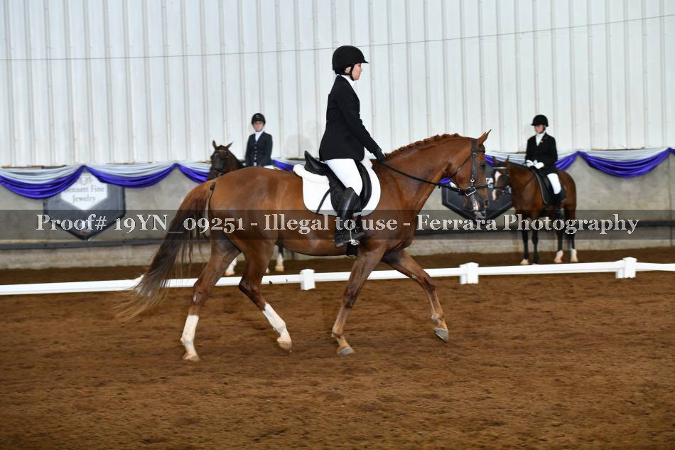 Proof 19YN_09251