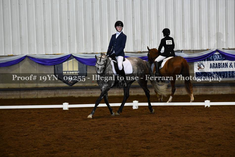 Proof 19YN_09255