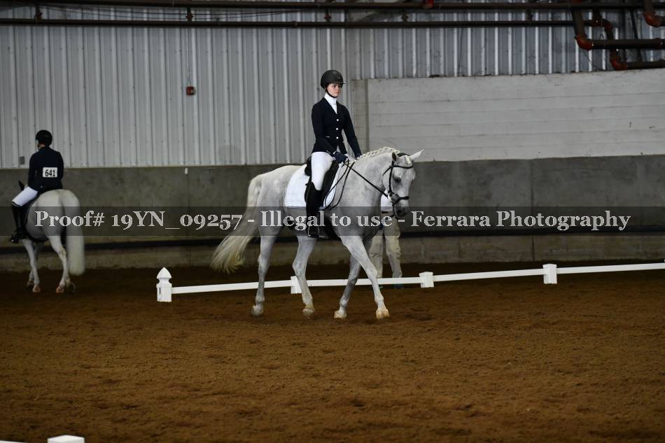 Proof 19YN_09257