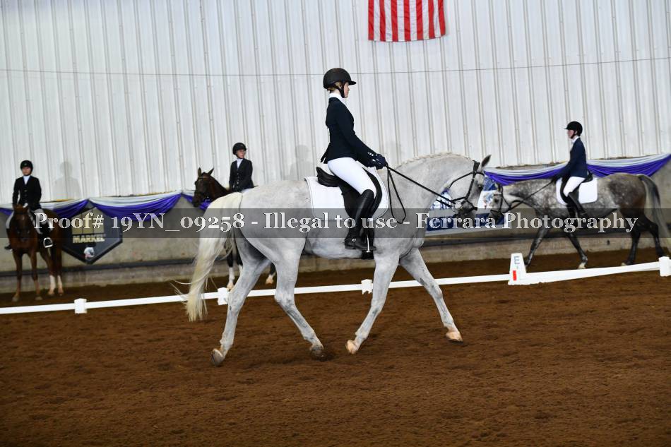 Proof 19YN_09258