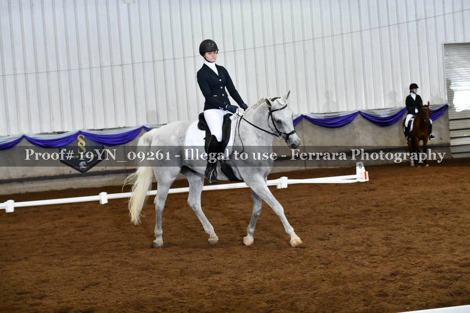 Proof 19YN_09261