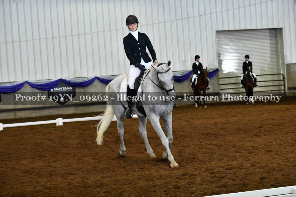 Proof 19YN_09262