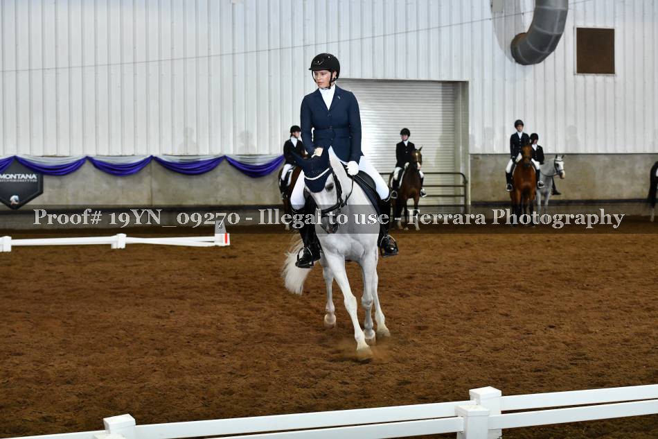 Proof 19YN_09270