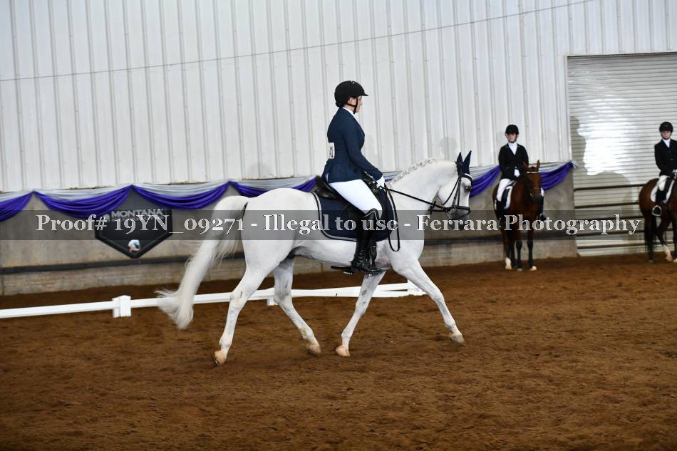 Proof 19YN_09271