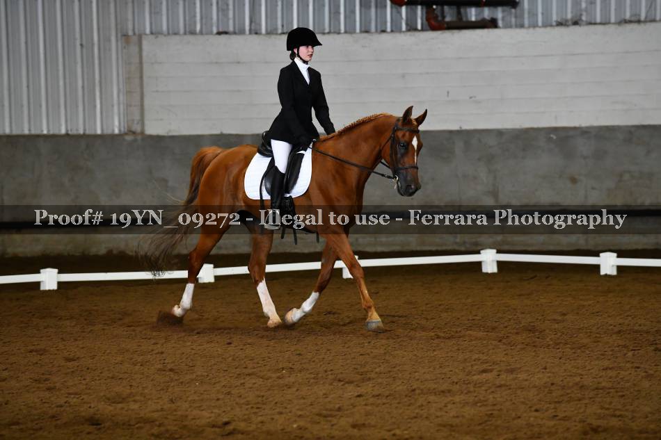 Proof 19YN_09272