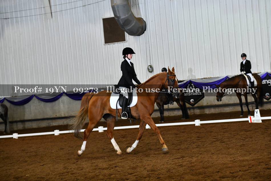 Proof 19YN_09273