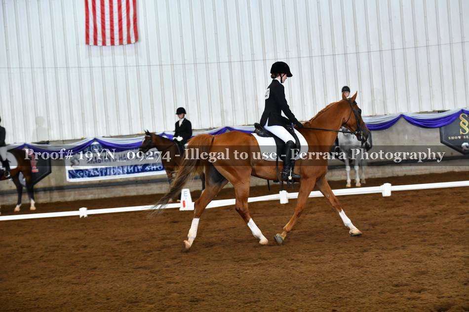 Proof 19YN_09274