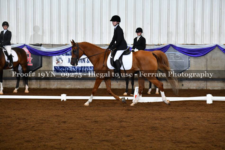 Proof 19YN_09275