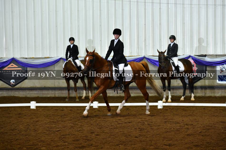 Proof 19YN_09276