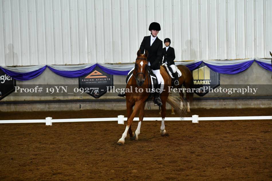 Proof 19YN_09277