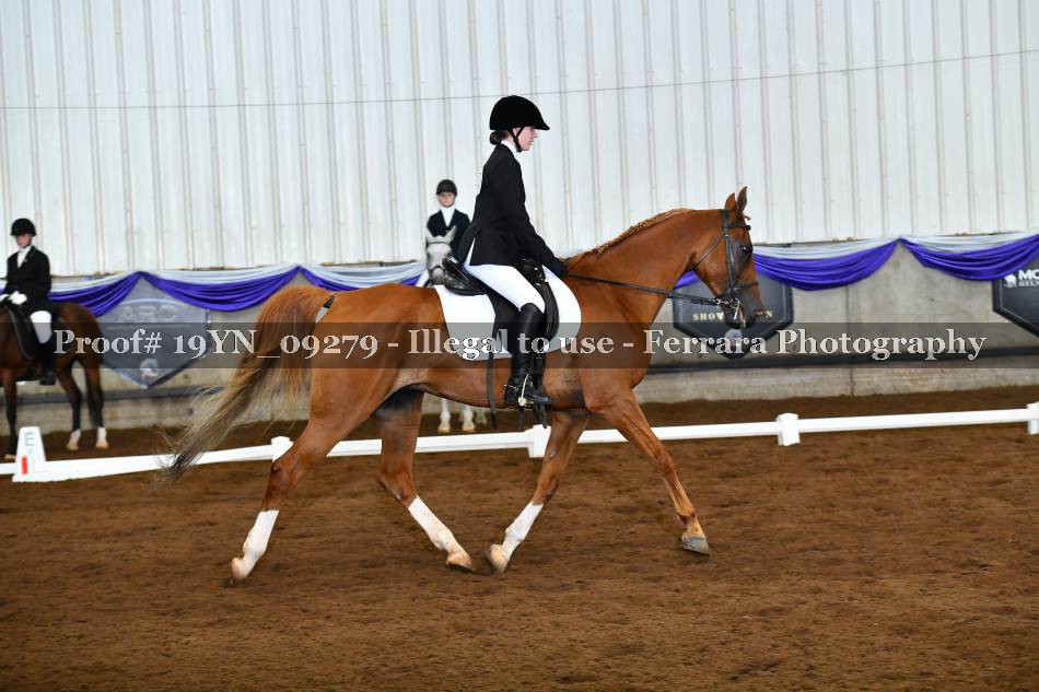 Proof 19YN_09279