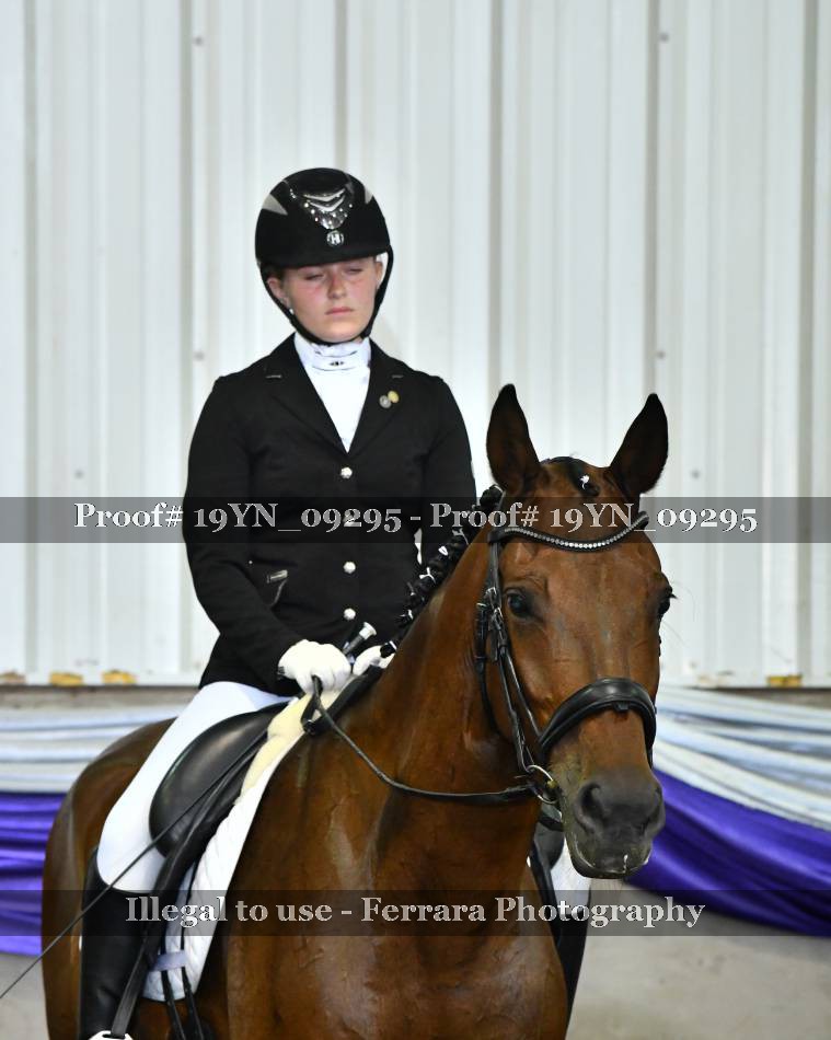Proof 19YN_09295