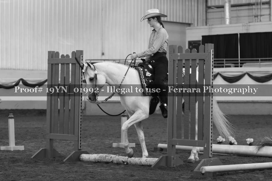 Proof 19YN_01992