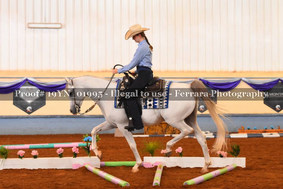 Proof 19YN_01995