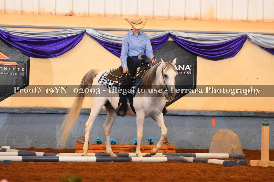 Proof 19YN_02003
