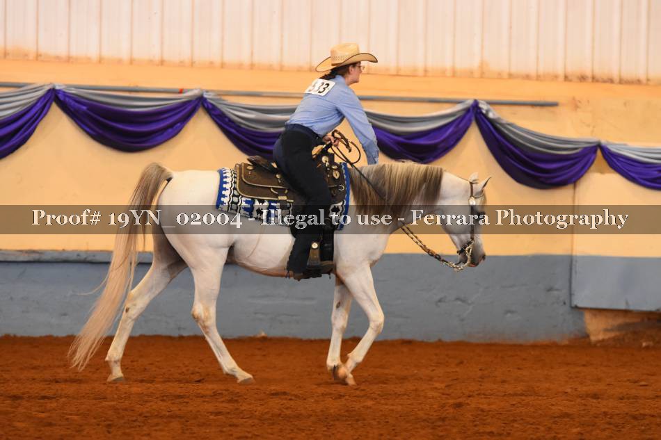 Proof 19YN_02004