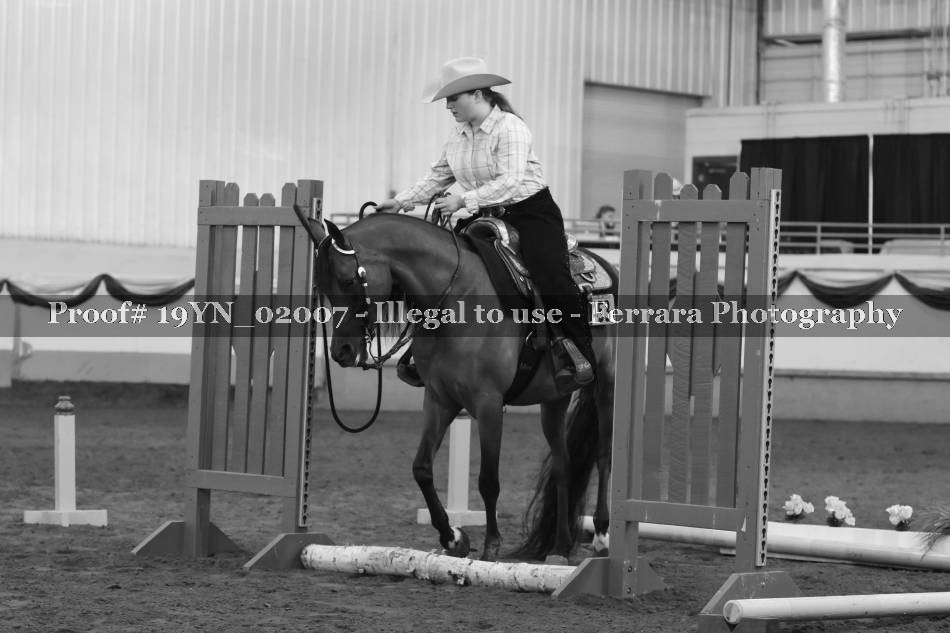 Proof 19YN_02007