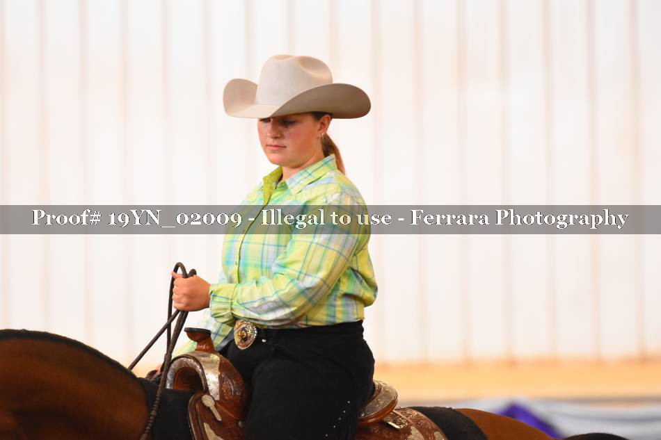 Proof 19YN_02009