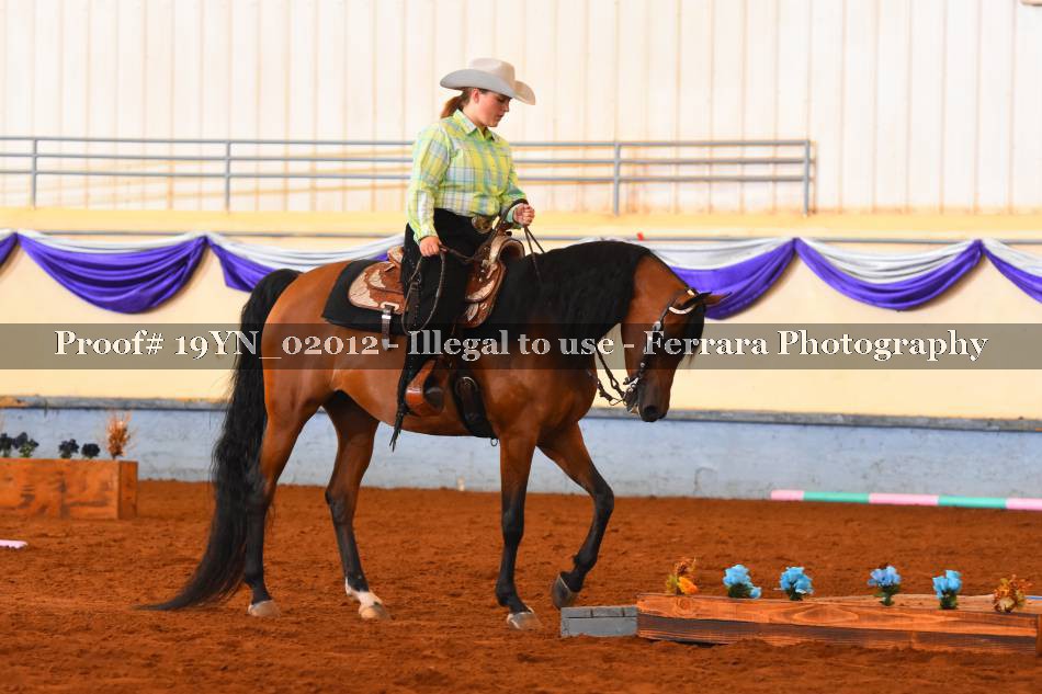 Proof 19YN_02012