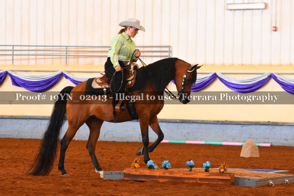 Proof 19YN_02013