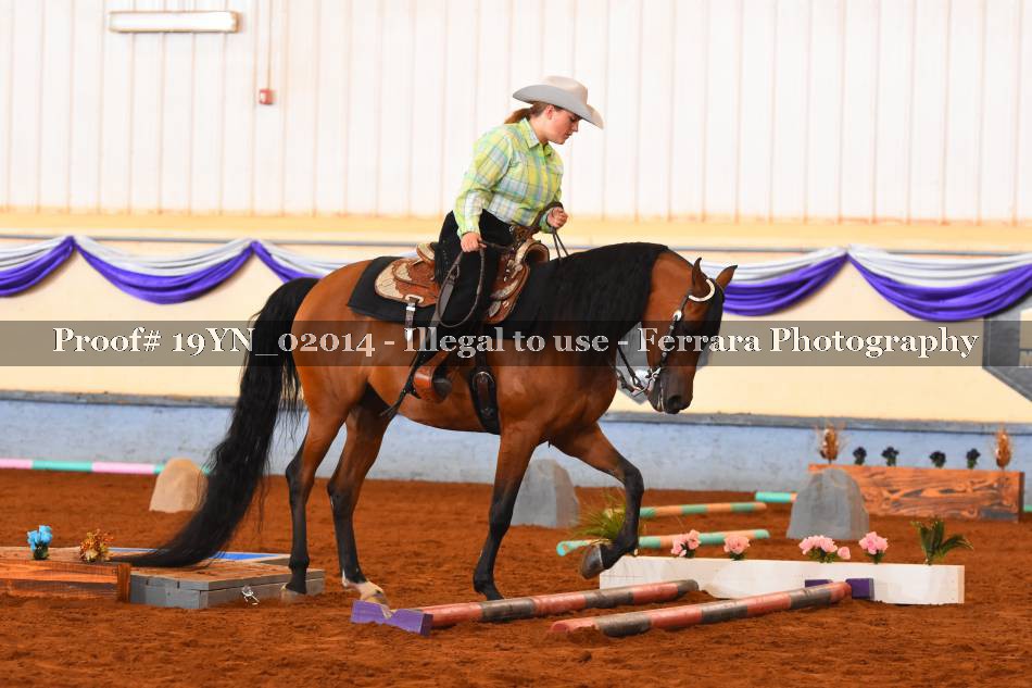 Proof 19YN_02014