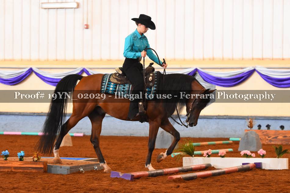 Proof 19YN_02029