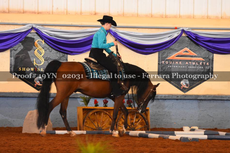 Proof 19YN_02031