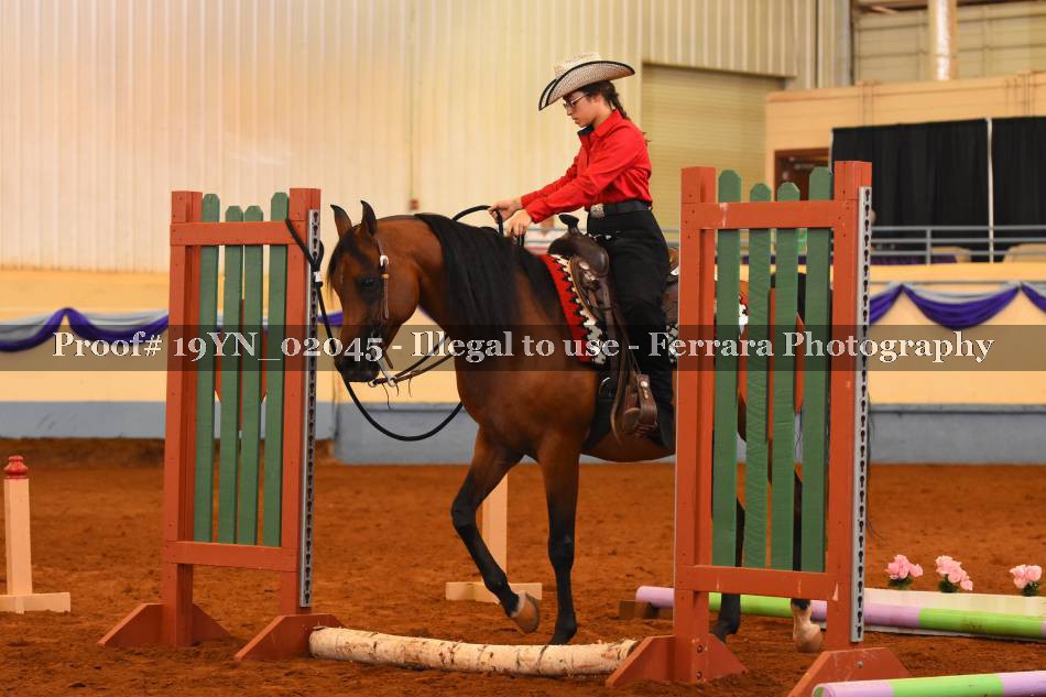 Proof 19YN_02045