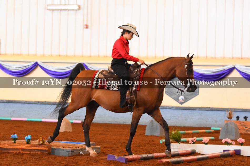 Proof 19YN_02052