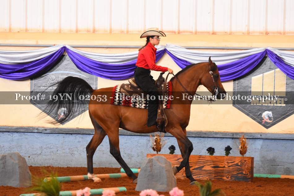 Proof 19YN_02053