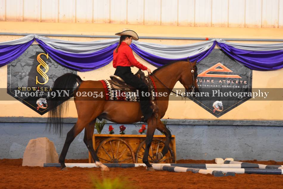 Proof 19YN_02054