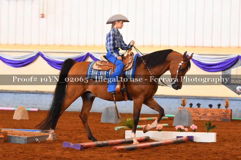Proof 19YN_02065