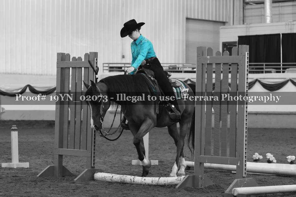 Proof 19YN_02073