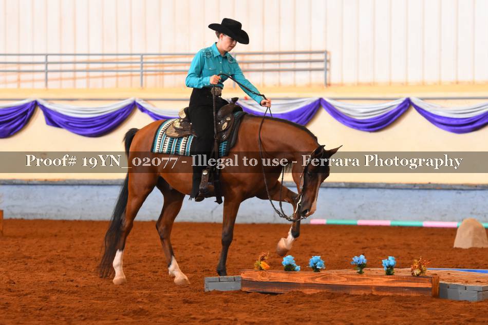 Proof 19YN_02077