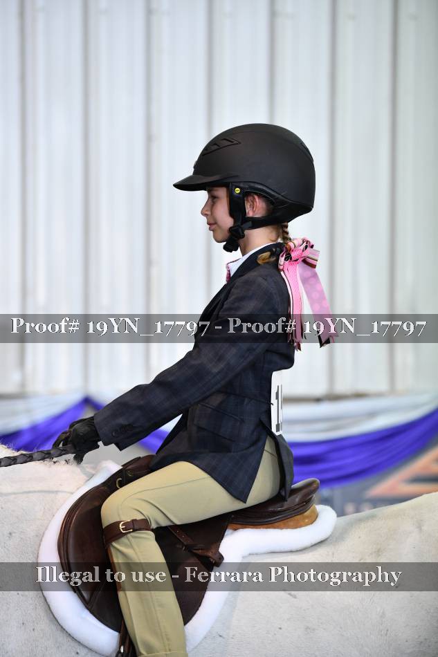 Proof 19YN_17797